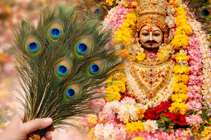 Mayur Pankh Seva
