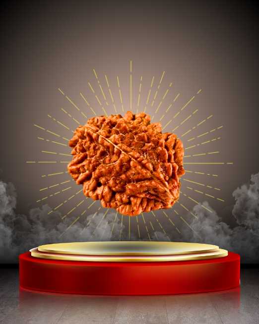 🕉️ 2 Mukhi Rudraksha