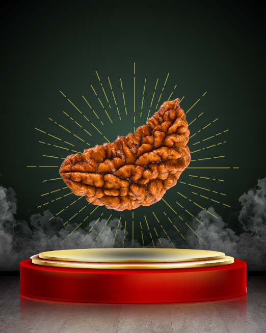 🕉️ Ek Mukhi Rudraksha