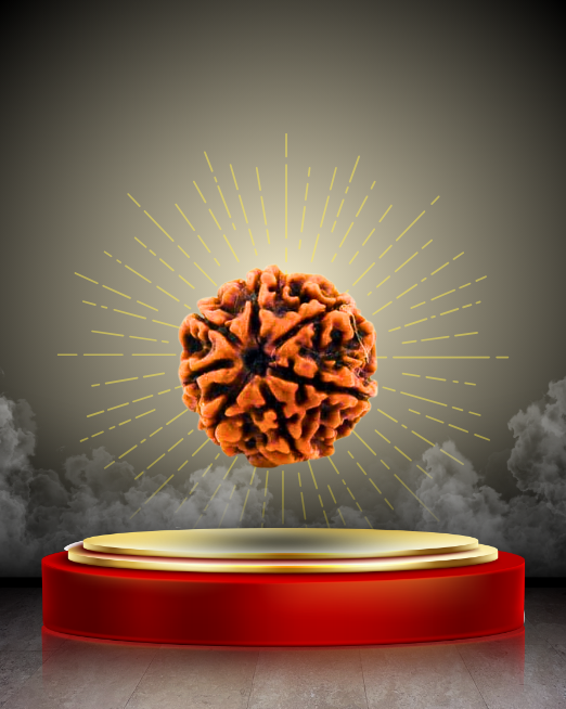 🕉️ 7 Mukhi Rudraksha