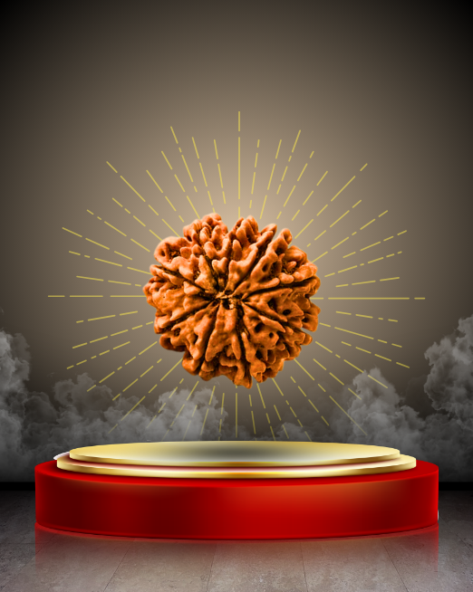 🕉️9 Mukhi Rudraksha