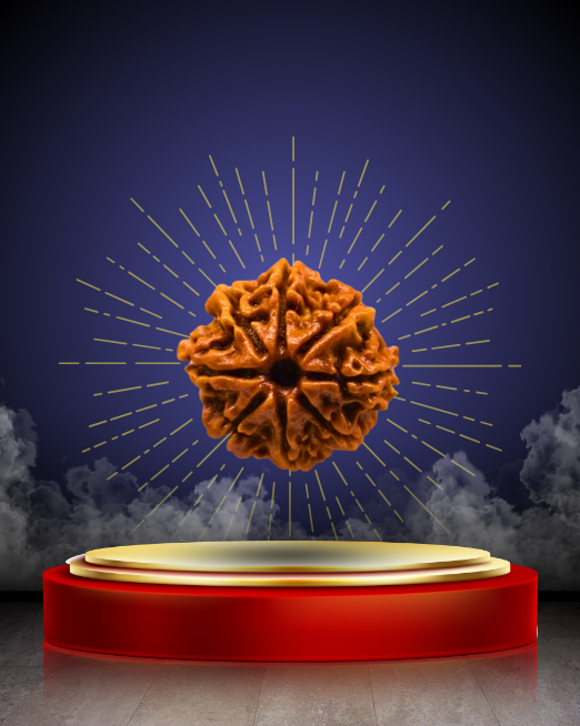 🕉️8 Mukhi Rudraksha